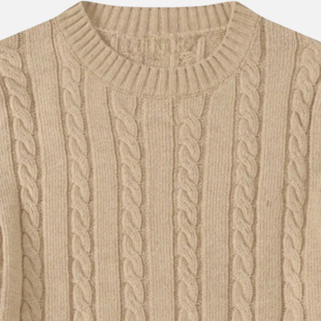 Men's Cotton Blend Round Neck Sweater